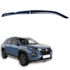 Door Visor Chromeline For Suzuki Fronx