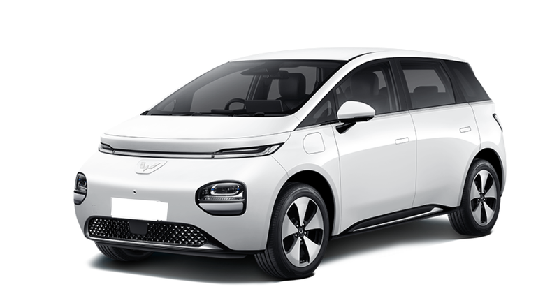 Windsor EV